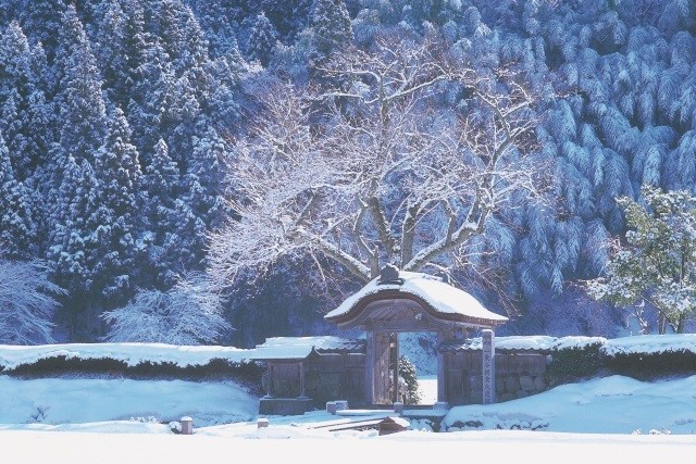 9780446e6a44541a957689767e22b5ac